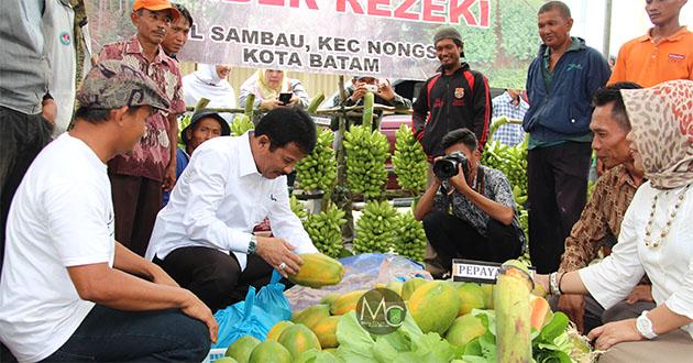 30 Kelompok Tani Batam Pamerkan Hasil Panen Selama Sepekan